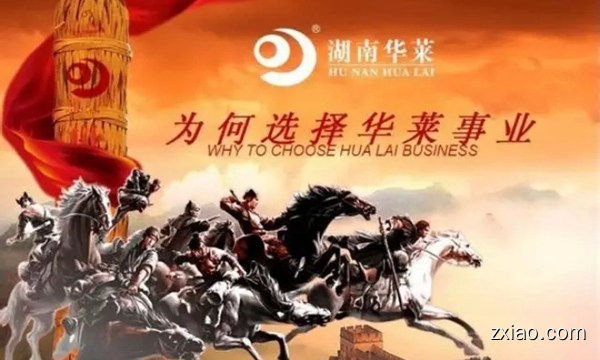华莱事业：五大收入， 六大价值 ， 九大亮点_华莱直销事业-赢在直销网