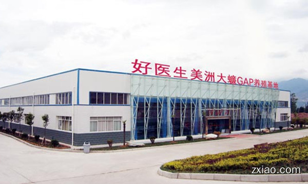 完美玛丽艳两用粉饼，夏季画出美丽妆容-赢在直销网