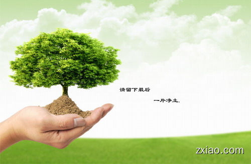 美乐家南瓜籽压片糖果维持男性健康-赢在直销网